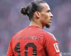 加拉塔萨雷打架